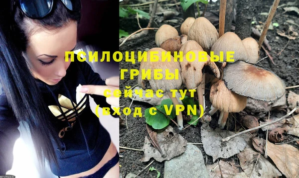 ГАЛЛЮЦИНОГЕННЫЕ ГРИБЫ Балахна