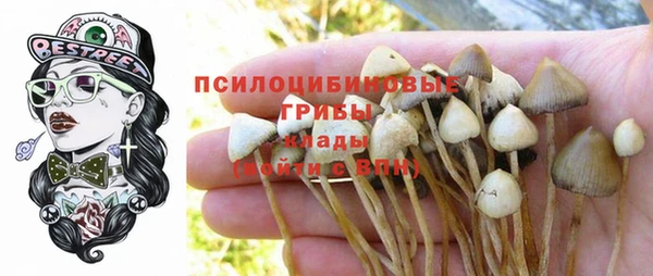 синтетический гашиш Армянск