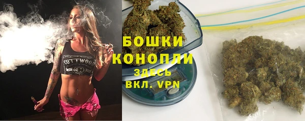 крисы Арсеньев