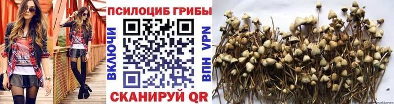 Псилоцибиновые грибы Magic Shrooms  купить закладку  Родники 